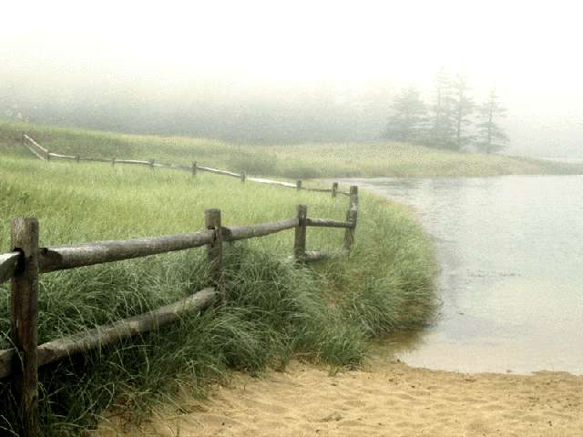 Вечера на хуторе близь дикарки