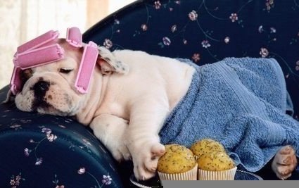 Я засыпаю только на рассвете...