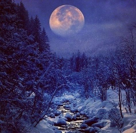 Когда за дальним лесом...