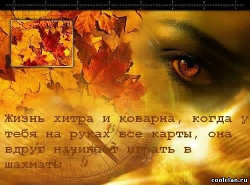 Я счастлива в безумии своём