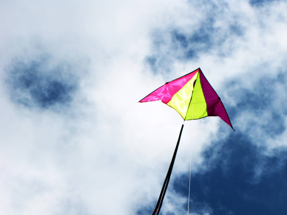 Птица счастья