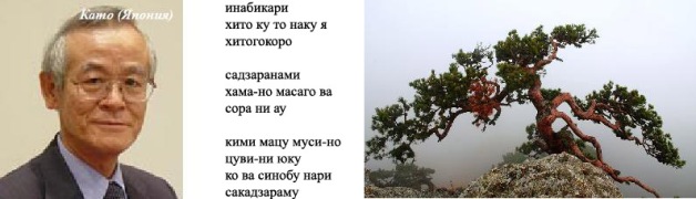 Ожидание - яс