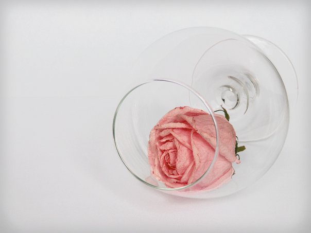 Лучший мой друг