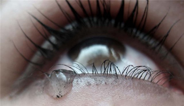 Мой падший ангел, поднимись!