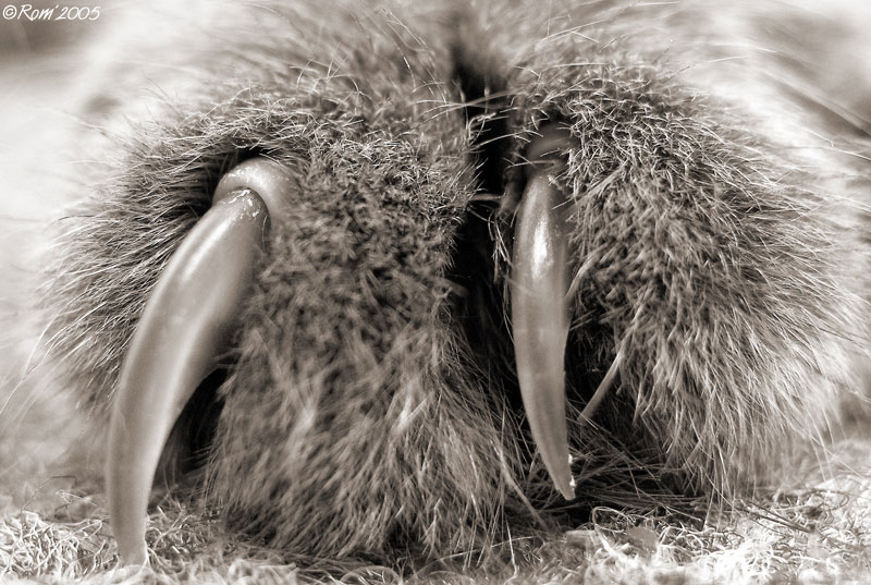 Чем дальше убегаю от тебя