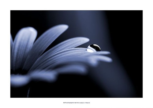 До зрелости, лишь шаг