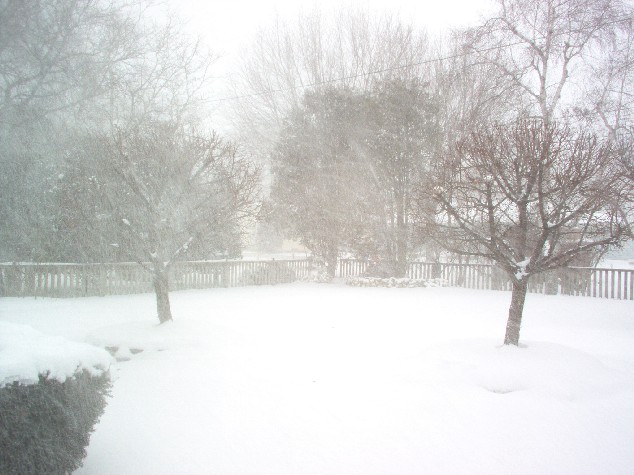 Ох, метелица...