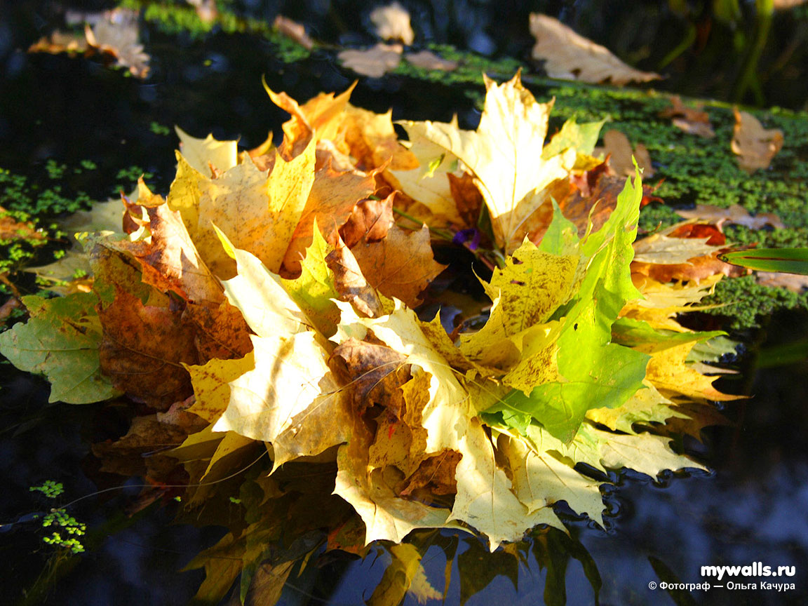 Буднично. Обычно