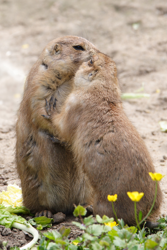 Налейте женщине вина...