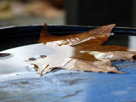 Ответ Осеннему Дождю