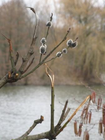 Я потихоньку стала забывать...