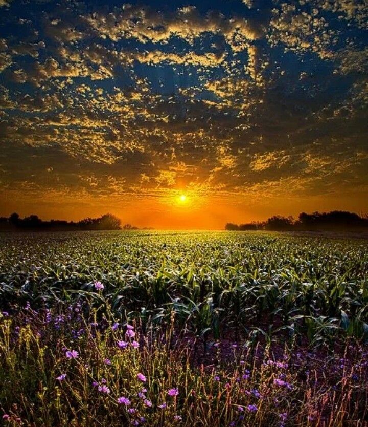 И с приходом новым ночи...