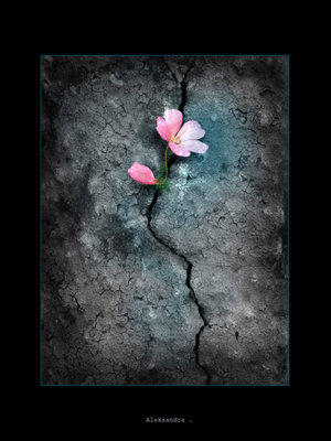 Мы заигрались игрою жизни...