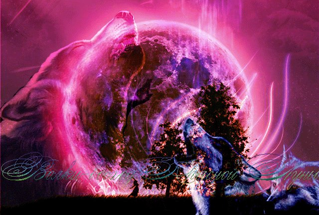 прошедшая луна или в ожидании солнца