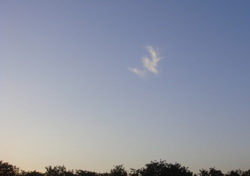 Возрождение души...