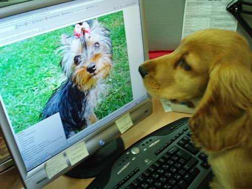 Одно неловкое движение и вы - отец!