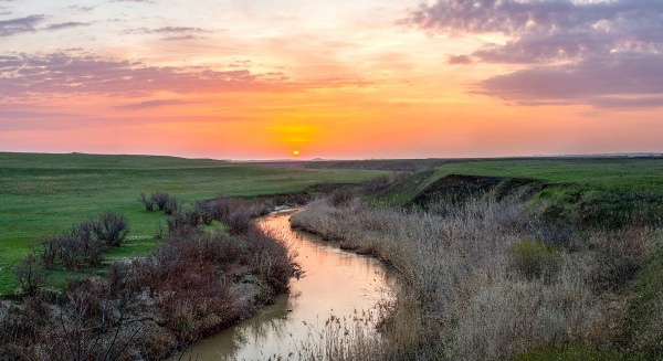 Степь и река