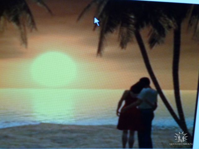 Я все пойму!!!