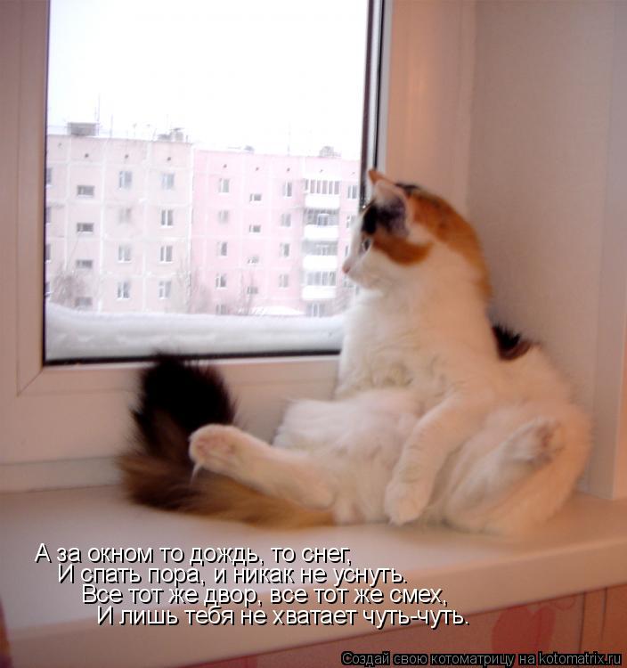 Летний дождь
