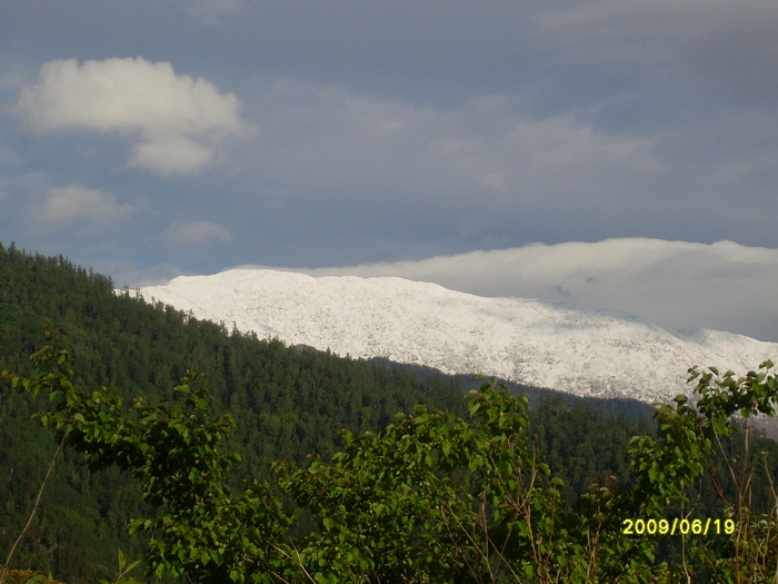 После ливня