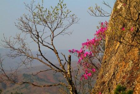на стихотворение В. Брюсова Выходы