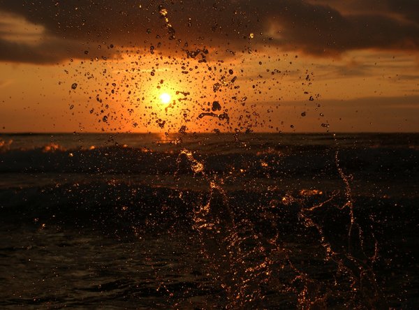 Жизнь - прекрасна!