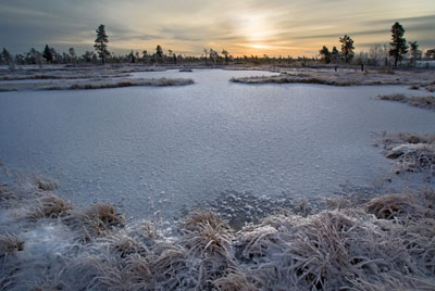 С. Б. - Сквозь километры...