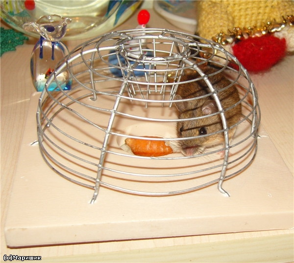 Настроение минус