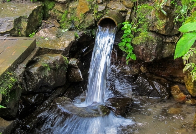 Родник. Святая вода...