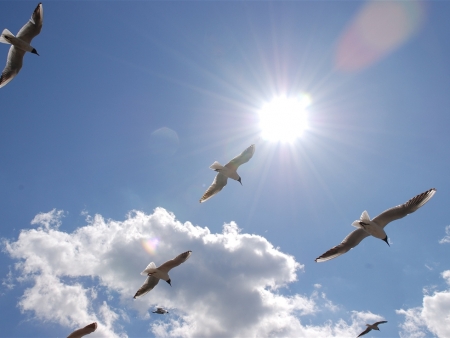 Давай попробуем исчезнуть...