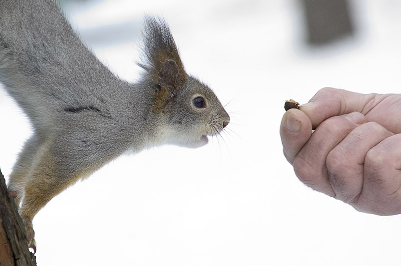 Ты доверяешь мне себя