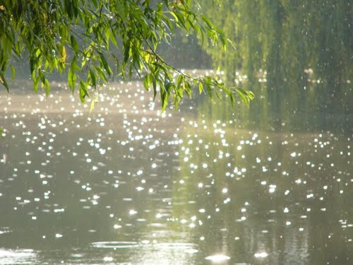 Слепой дождь