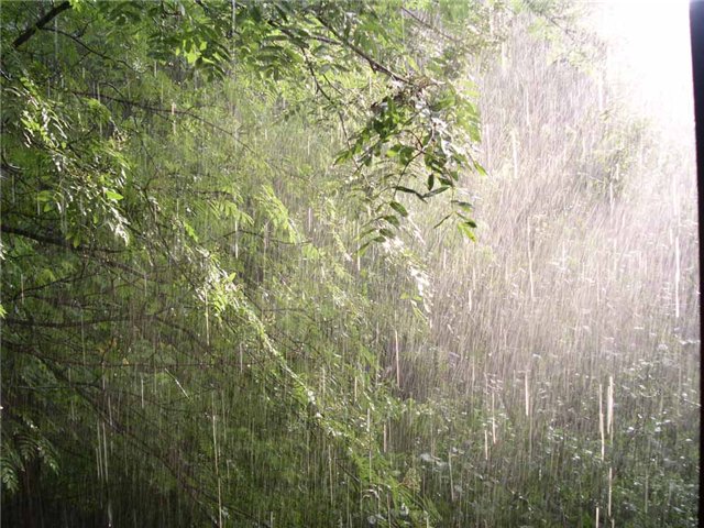 Прощание с летом