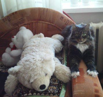 Если успею, расцелую