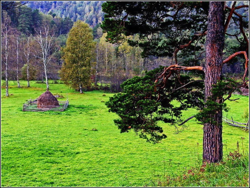 Щедрая земля