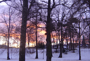 Дань новизне