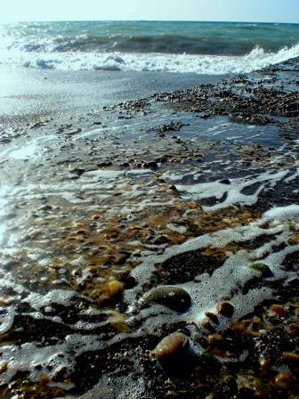 автобусы дачные ходят ну слишком часто...