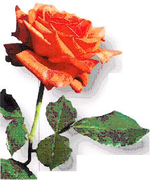 Обращение к дочери