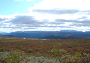 Я все равно желаю вам добра