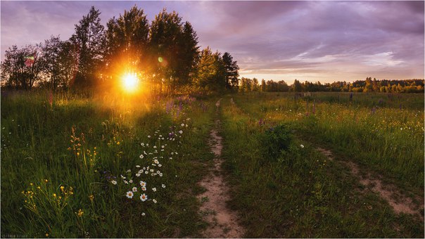 Вечерняя заря