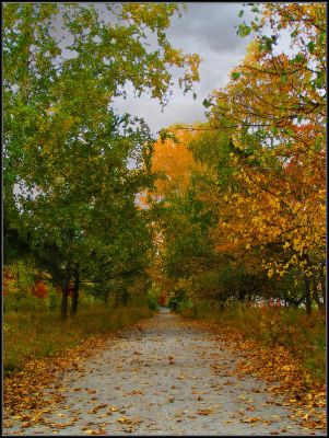 Жёлтый снег