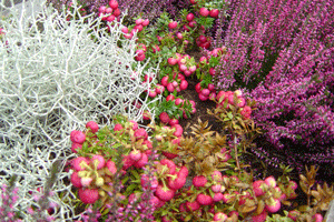 Актуальное