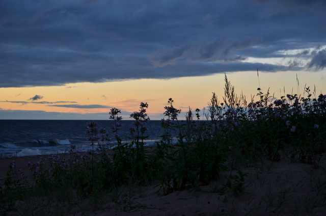 Выбор завтрашнего дня