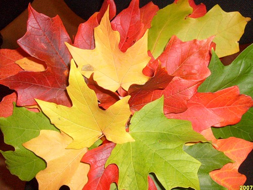 Книга жизни