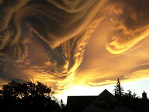 Народные приметы