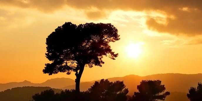 На пороге вечном сна...