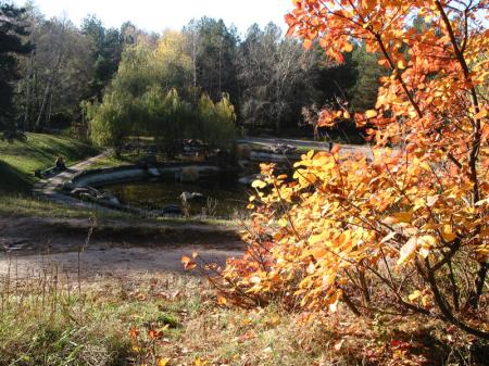 Наступающей осени