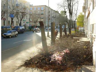 Липовая казнь