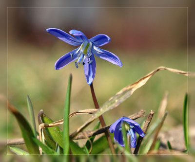 так легки и одиноки - Елене Бессоновой