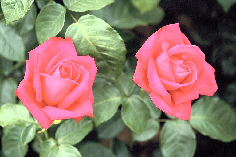 Расставание